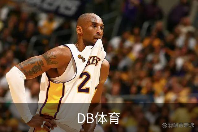 DB体育公司介绍图